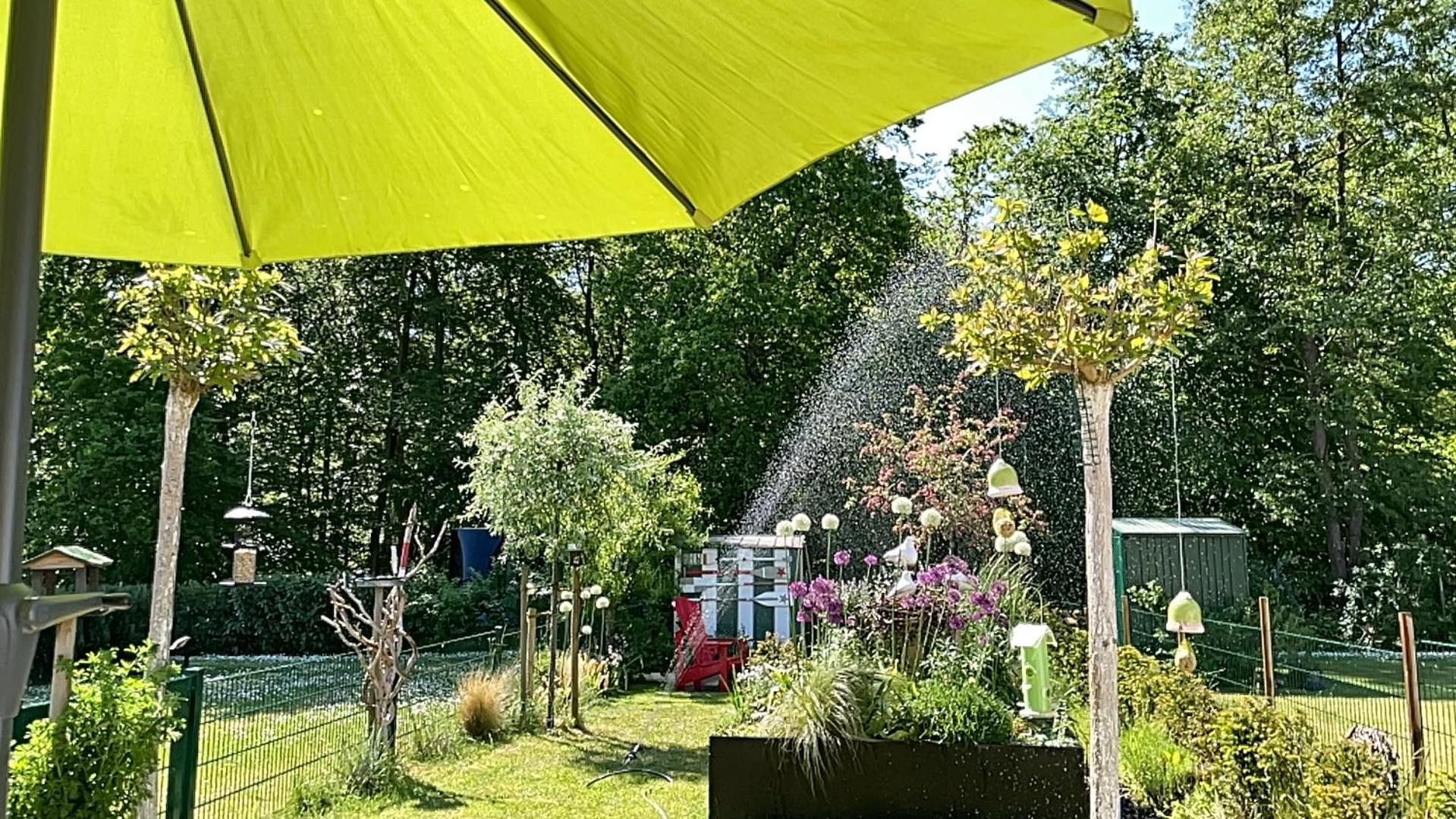 Ferienwohnung KWi 36 EG Rauchschwalbe Graal-Mueritz Exterior foto